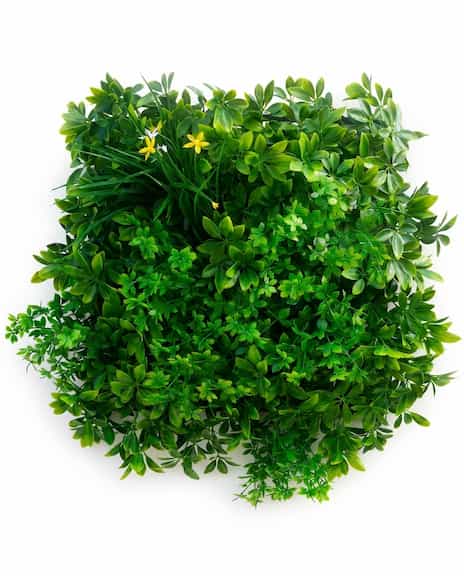 Oasis artificial hedge material sample